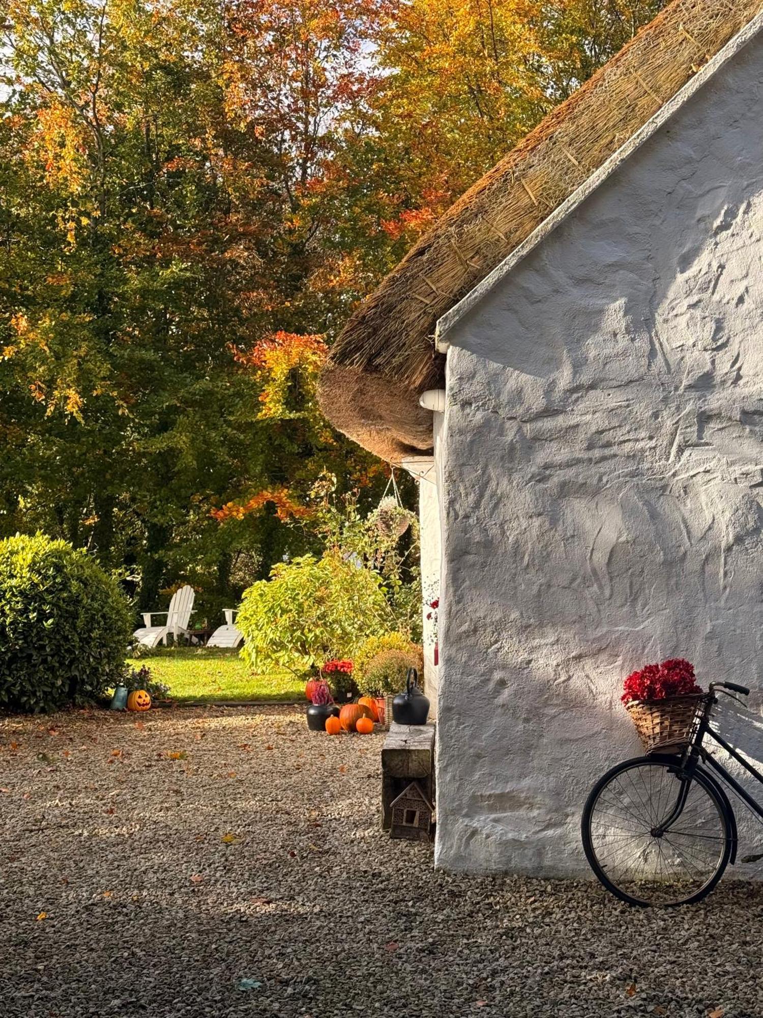 Keenaghan Cottage 벨릭 외부 사진